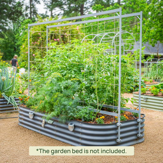 Metal Frame String Trellis