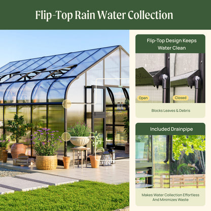 Vego Grand Pacific Greenhouse - 12.5ft Wide