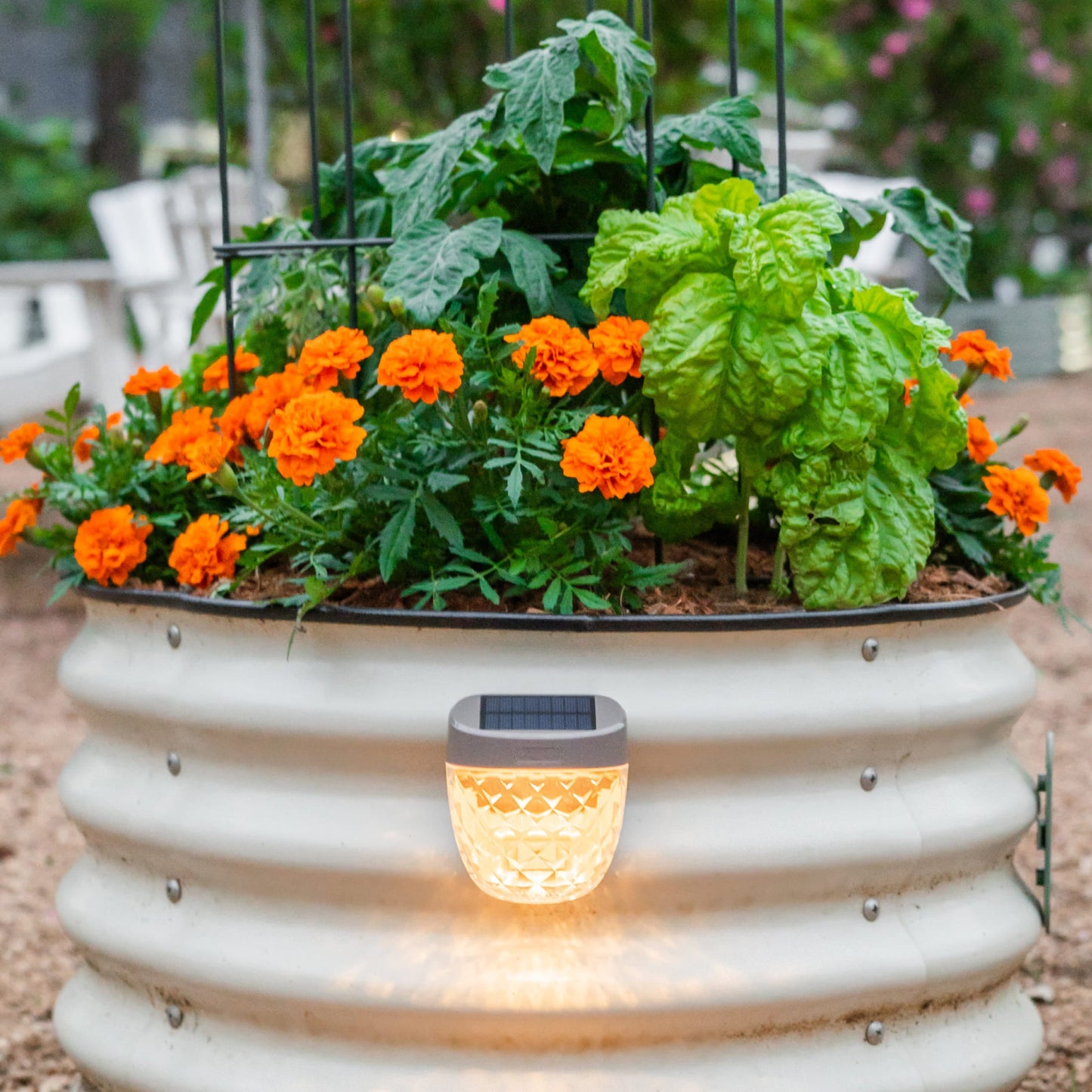Diamond Garden Solar Light - Classic Mount