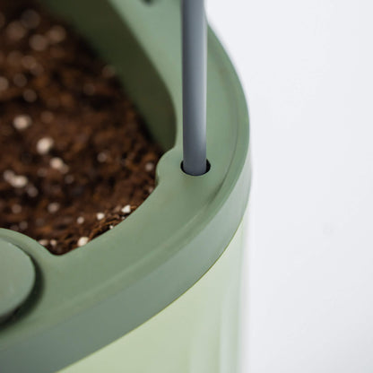 EZ Self-Watering Tomato Planter with Trellis Gen 2