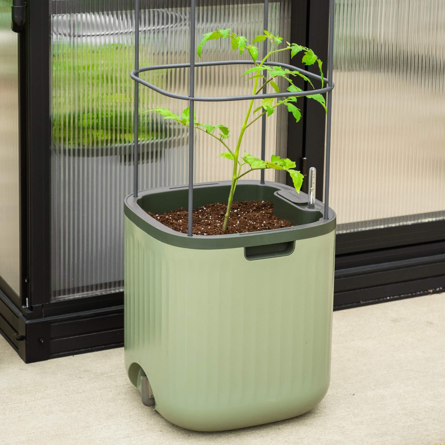 EZ Self-Watering Tomato Planter with Trellis Gen 2