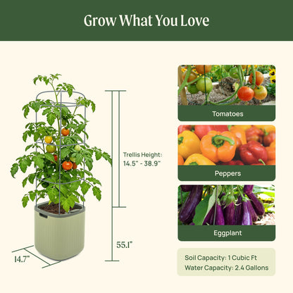 EZ Self-Watering Tomato Planter with Trellis Gen 2