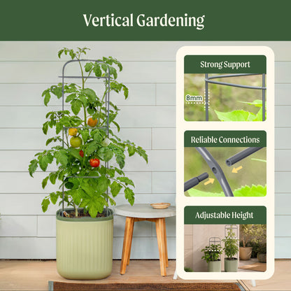 EZ Self-Watering Tomato Planter with Trellis Gen 2