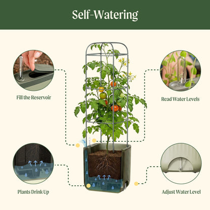 EZ Self-Watering Tomato Planter with Trellis Gen 2