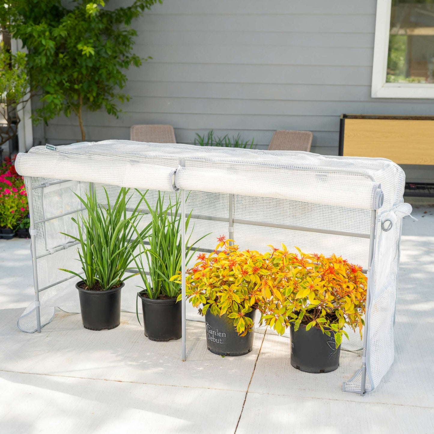 Greenhouse Frost Cover & Trellis System for Elevated Bed