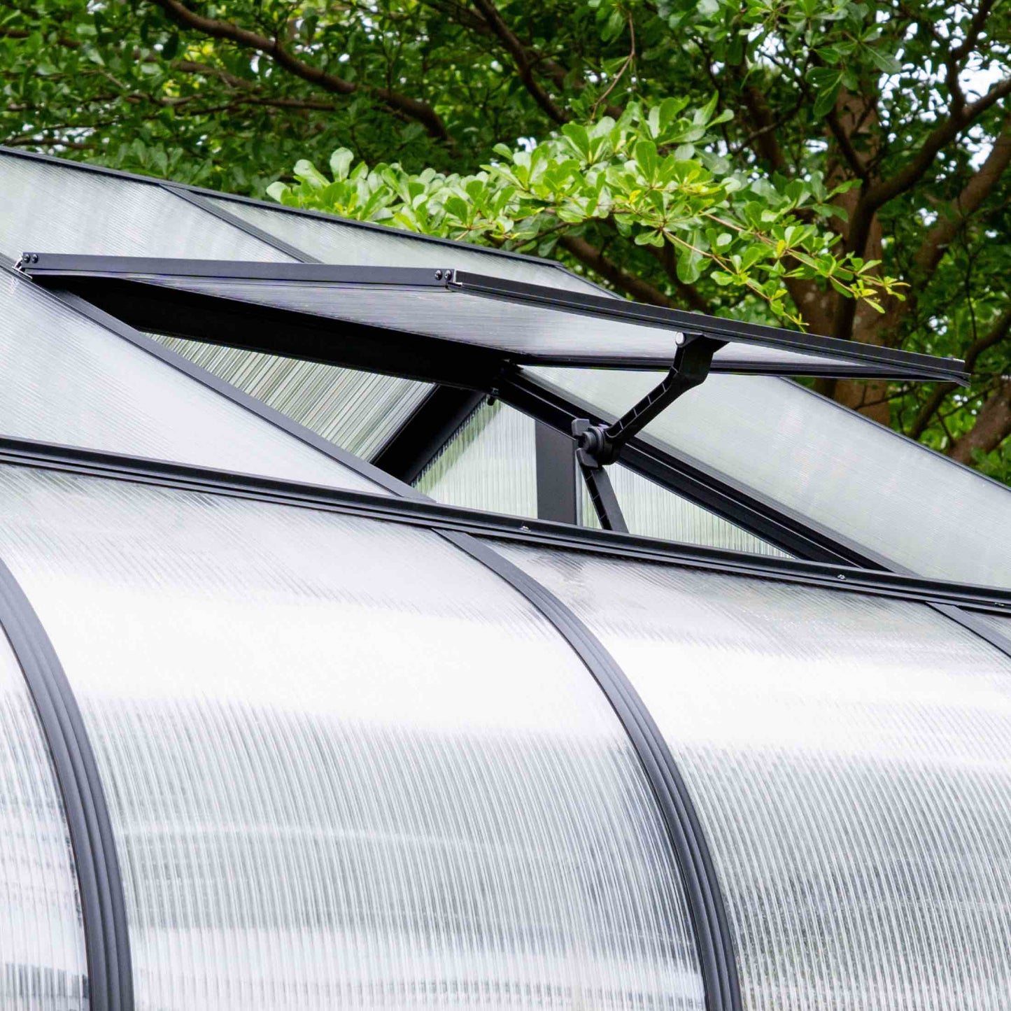 Vego Grand Pacific Greenhouse - 12.5ft Wide