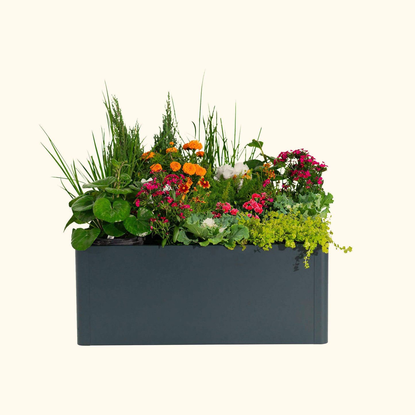 17" Tall Modern Pro 42" x 83" Metal Raised Garden Bed