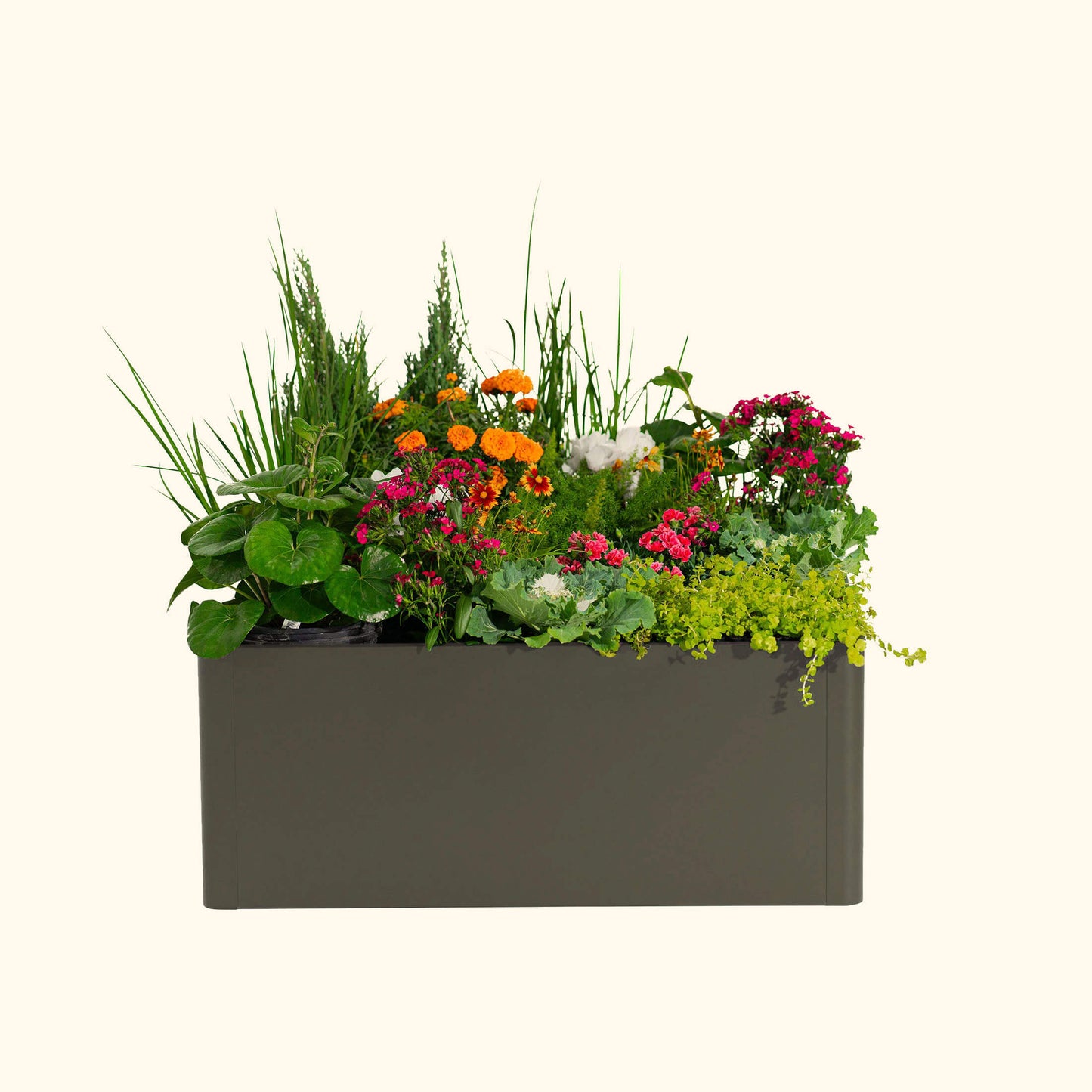 17" Tall Modern Pro 42" x 83" Metal Raised Garden Bed