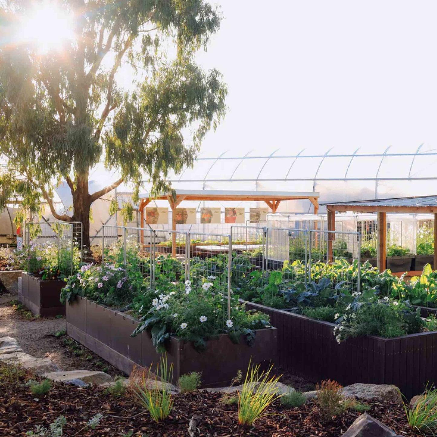 Foodcube™ Large - The Next Generation of Self Watering Raised Beds