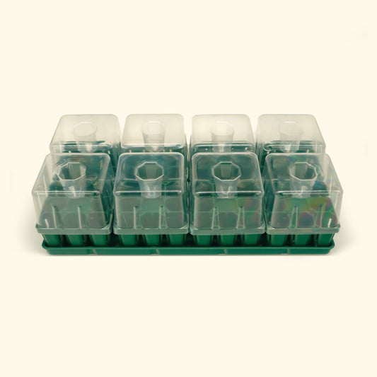 Seed Starting Bundle with Lid - 10" x 20"