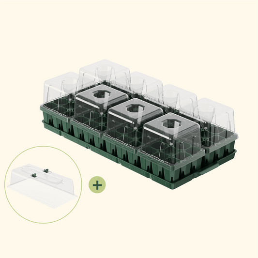 Standard 1020 Germination Cell Bundle