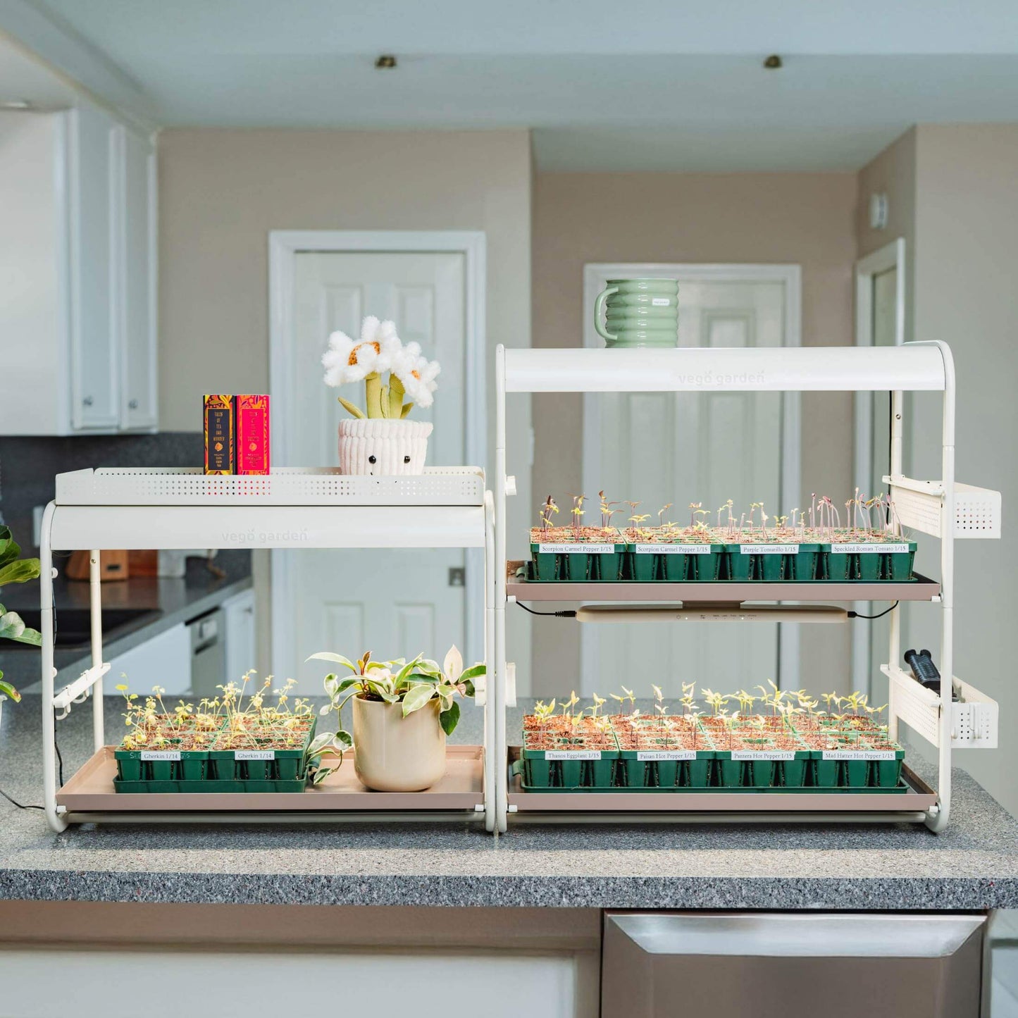 2 Tier Tabletop Grow Light Garden